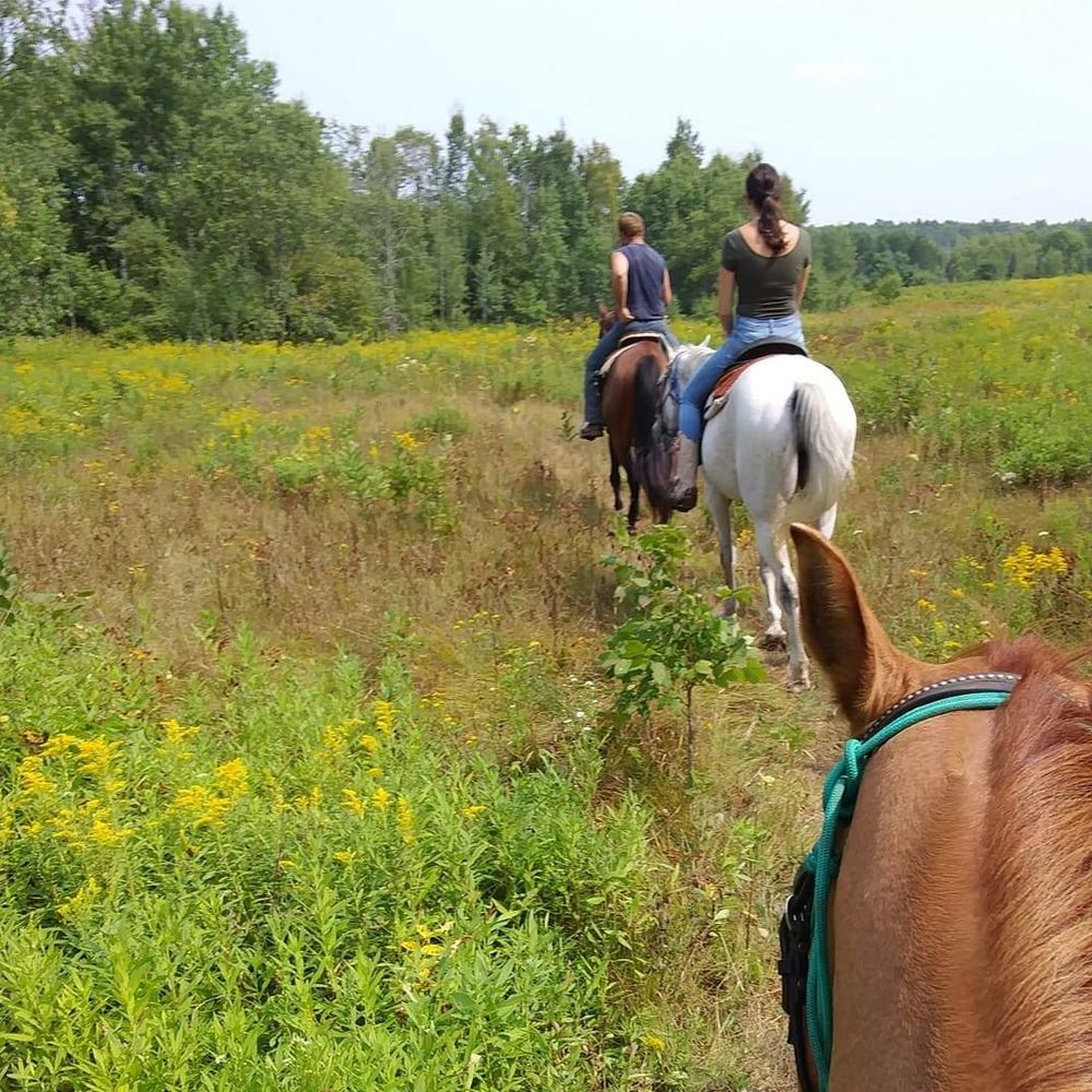 Meet your Posher, Charlotte